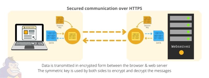 ApeCape - Internet Safety - How HTTPS works