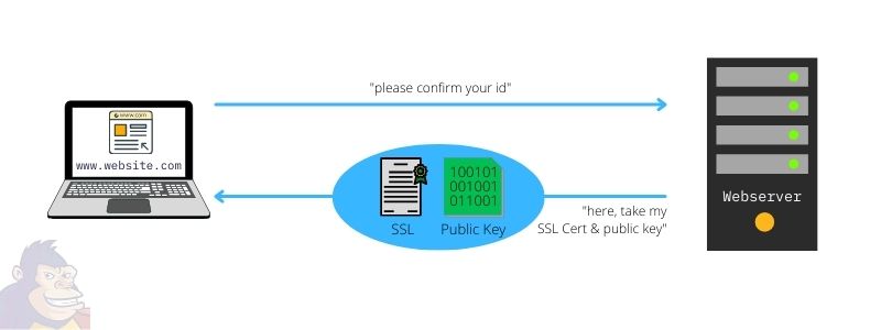 ApeCape - Internet Safety - How HTTPS works