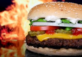 Amazing Burger Joints in Delhi NCR