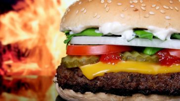 Amazing Burger Joints in Delhi NCR