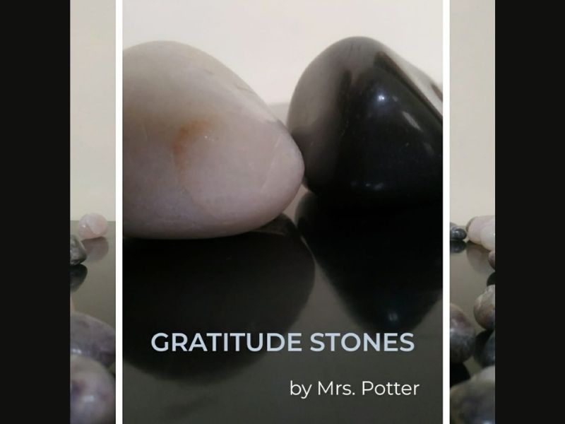 Startup-Stories-Mrs-Potter-Sub1