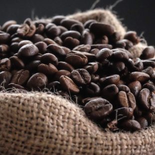 Coffee Quiz
