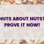 NutDay-Blog-Main