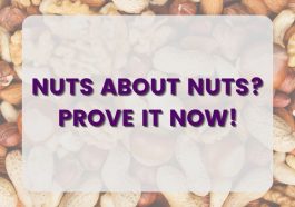 NutDay-Blog-Main