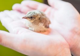 Kind person - Main
