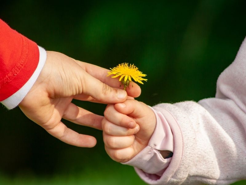 Kindness in Kids - Sub
