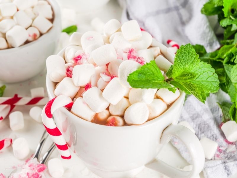 Amazing Hot Chocolate Recipes - Peppermint Patty