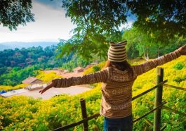 Holiday Destinations in India - Main