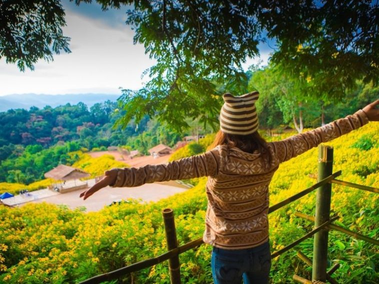 Holiday Destinations in India - Main